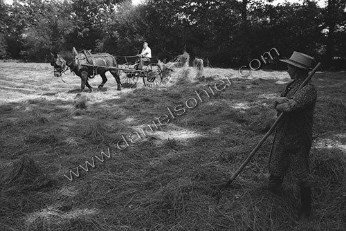 Reportage sur les foins