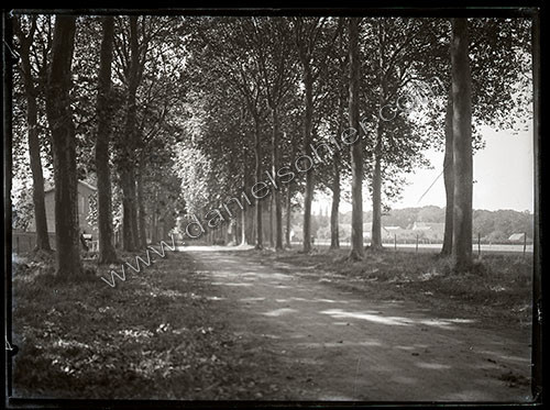 Plaques de verre 1910