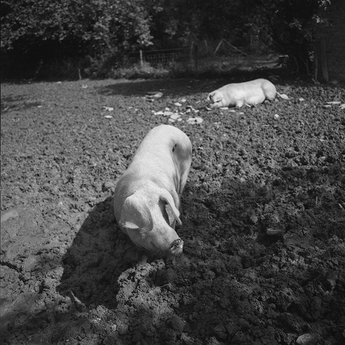 Reportage argentique