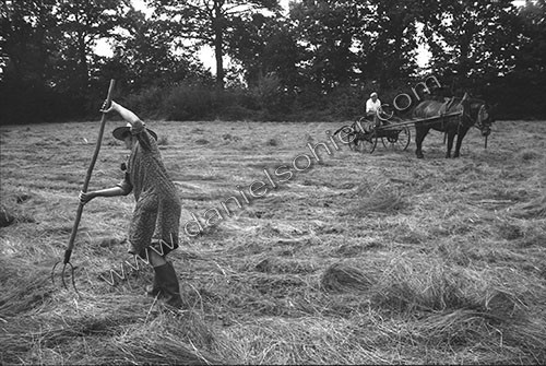 Reportage sur les foins