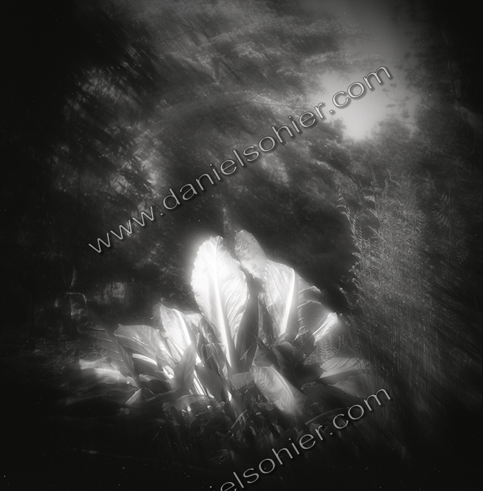 Création Noir&Blanc