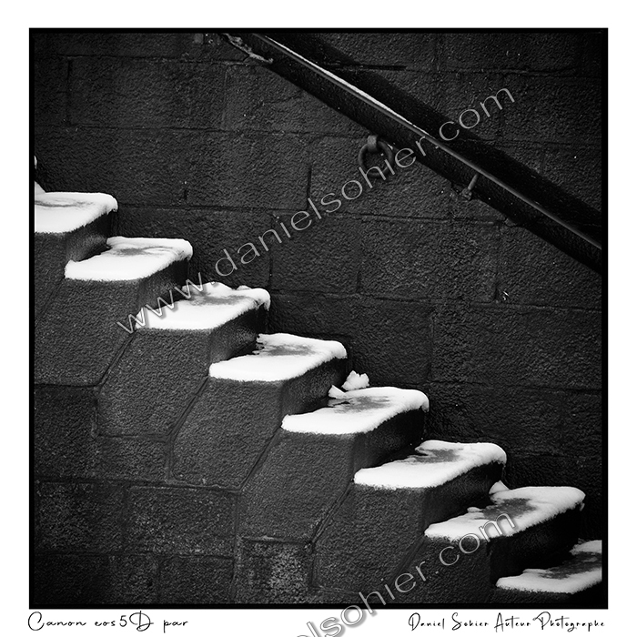 Création photographique noir et blanc argentique