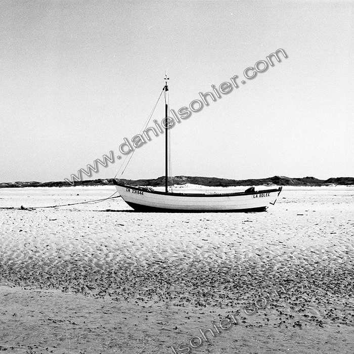 Création Noir&Blanc