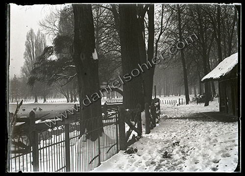 Plaques de verre 1910