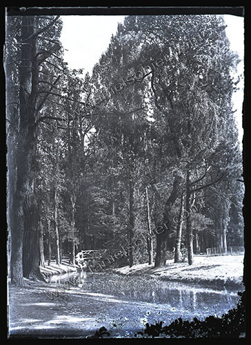 Plaques de verre 1910