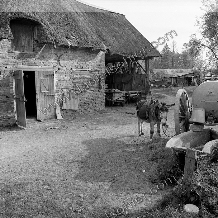 Reportage argentique