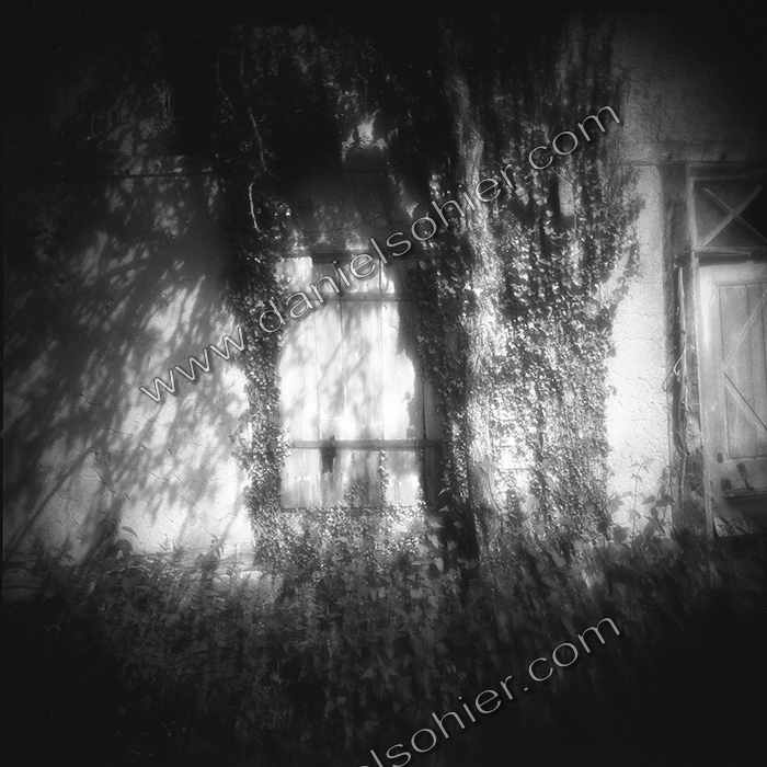 Création Noir&Blanc