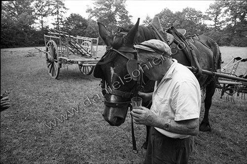 Reportage sur les foins