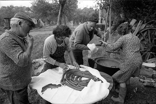 La journée du Cochon