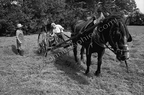 Reportage sur les foins