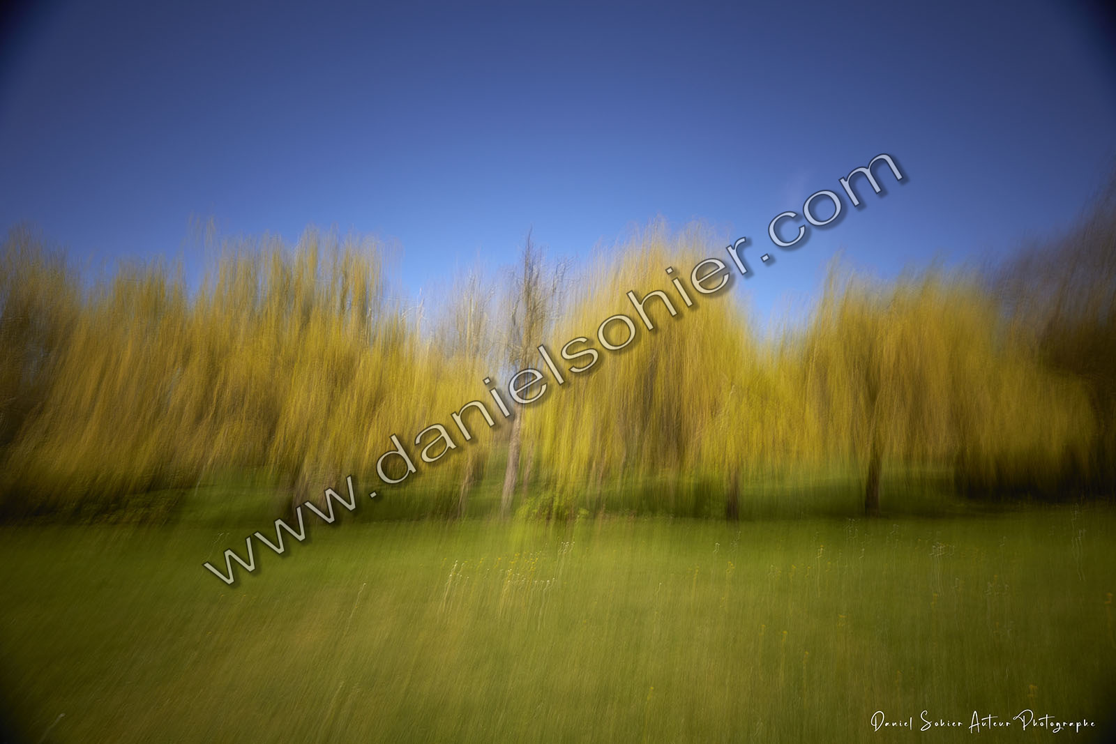 ICM Paysage
