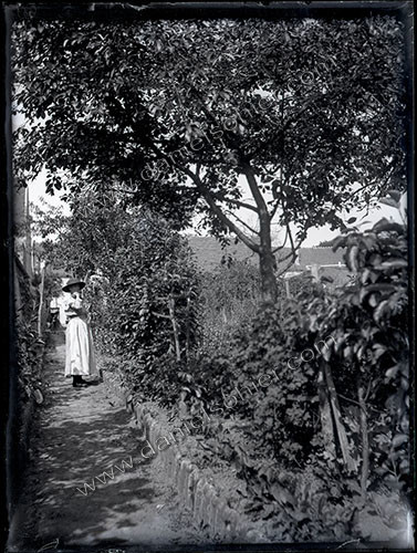 Plaques de verre 1910