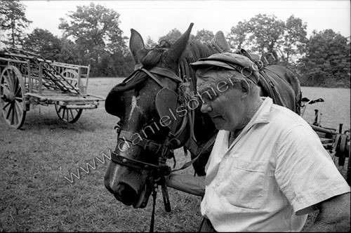 Reportage sur les foins