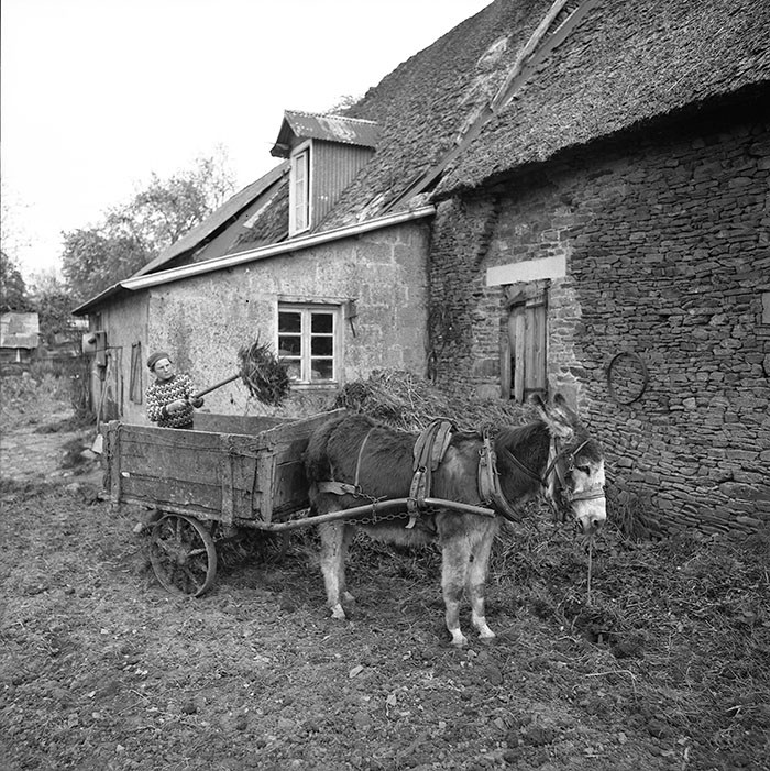 Le champ derrière la ferme