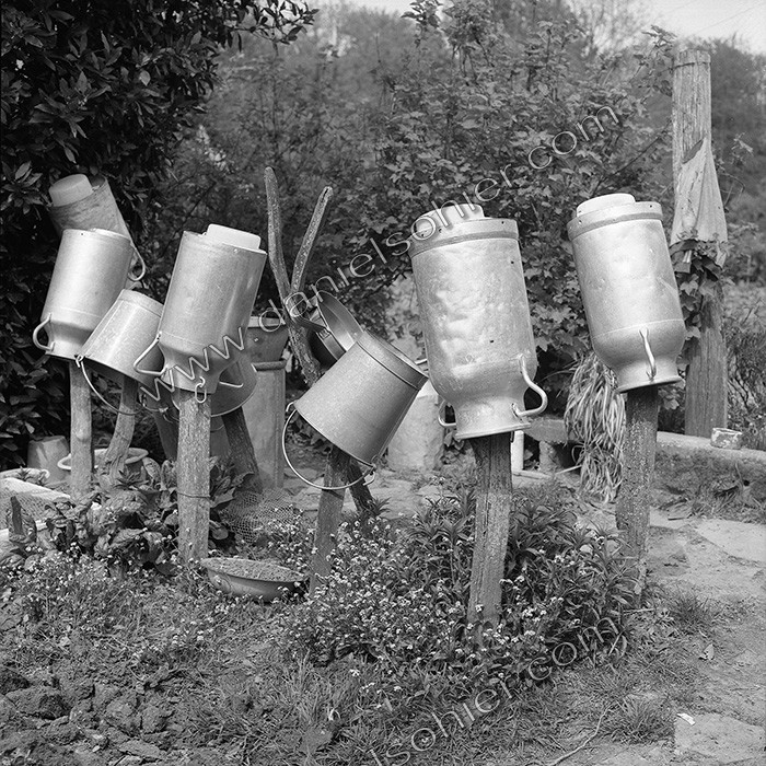 Reportage argentique