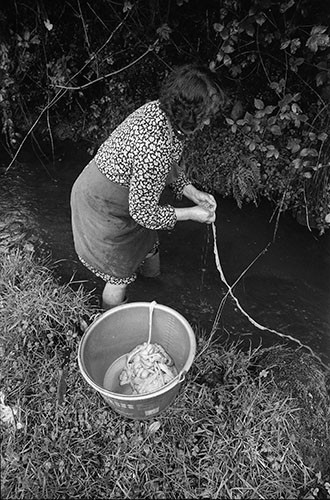 La journée du Cochon