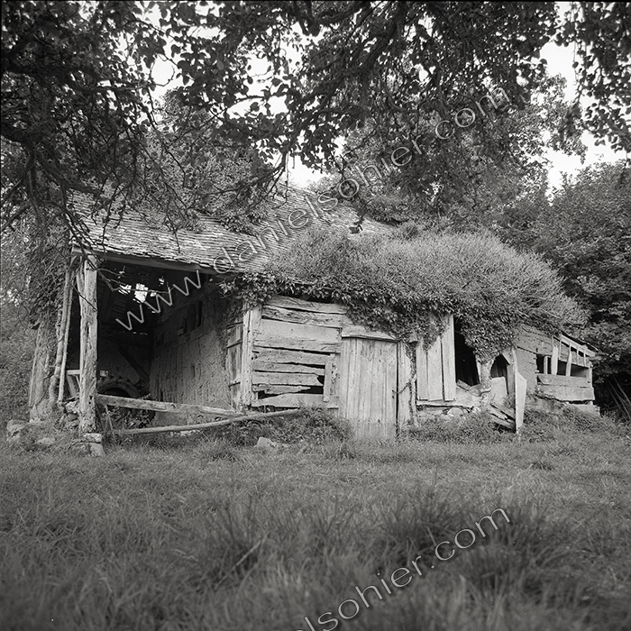 Création Noir&Blanc