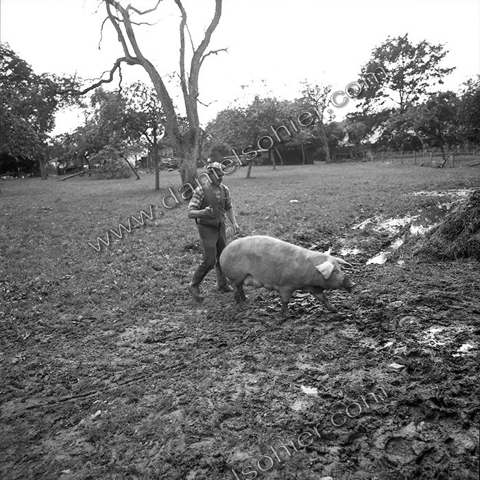 Reportage argentique