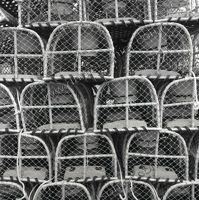 Création Noir&Blanc