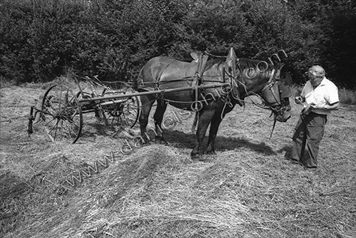 Reportage sur les foins