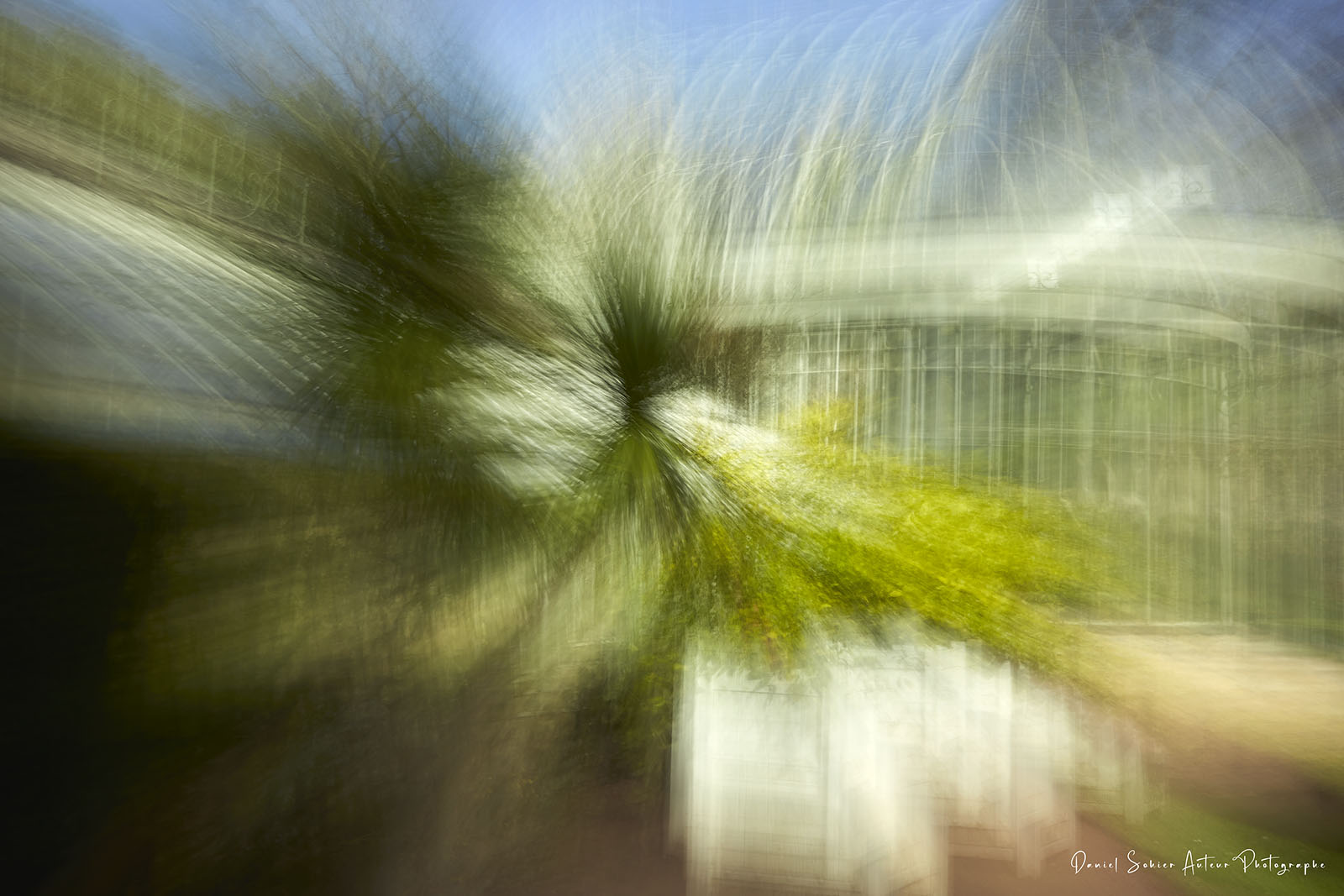 ICM Nature