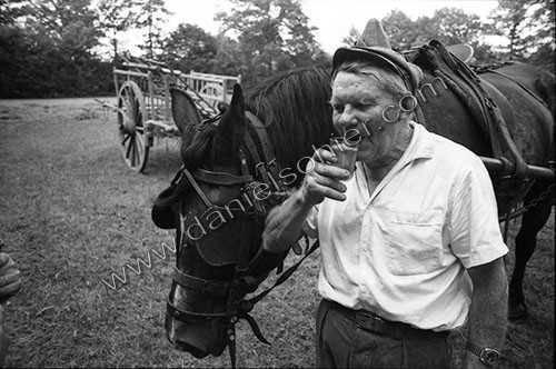 Reportage sur les foins